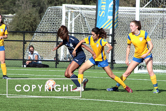 IMG_0221