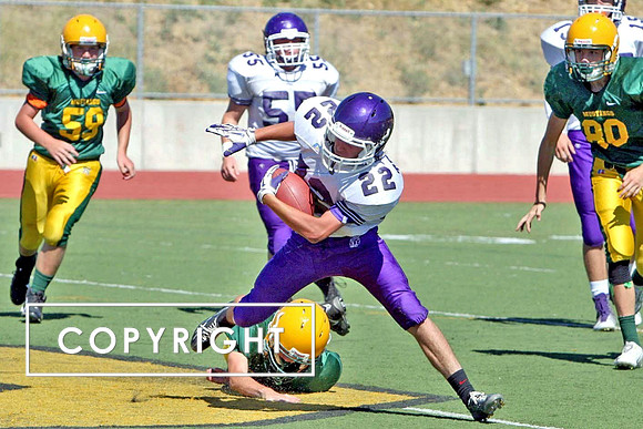 Copy of IMG_0904
