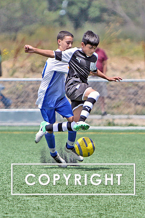 Copy of IMG_0427