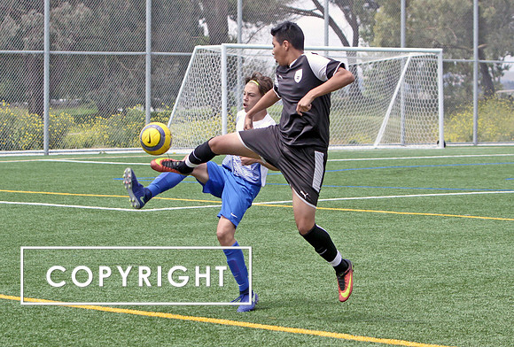 Copy of IMG_0281