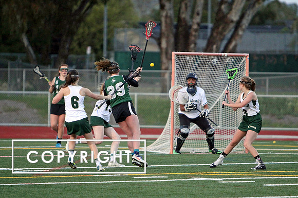 IMG_0504