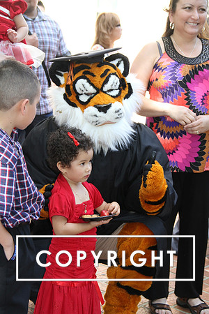 Copy of IMG_0177